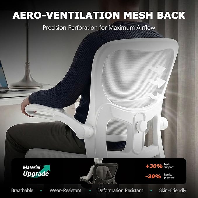 AreShark Office Chair Ergonomic Desk Chairs with Adjustable Lumbar Support, High Back Breathable Mesh Chair with Wheels& Flip-up Armrests,Rolling Swivel Comfy Task Computer Chair for Home Work Gaming