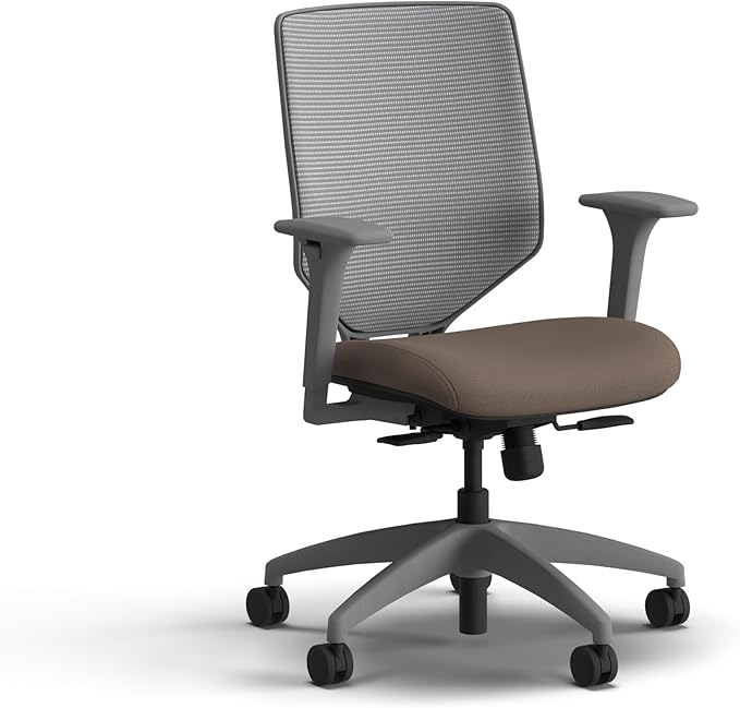 HON Solve Office Chair, Ergonomic Office Chair Mesh Back Support, Adjustable Lumbar Support, Height Adjustable Arms, Titanium Frame, Bark