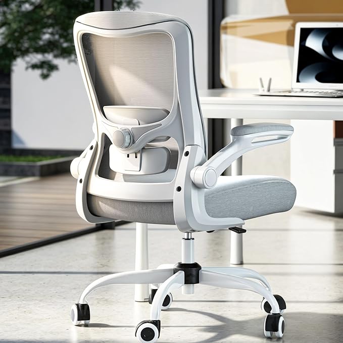 Ergonomic Office Chair - High Back Desk Chair with Adjustable Lumbar Support, Breathable Mesh Back, 330LBS Capacity, Easy Assembly, for Home Office Executive Computer Task