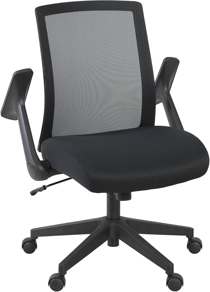 Romig Squire Ergonomic Mesh Office Chair with Adjustable Lumbar Support, Breathable Mesh Back, Flip-Up Arms, Rolling Base, Commercial-Grade Task Seating for Offices Home Workspaces and Conference