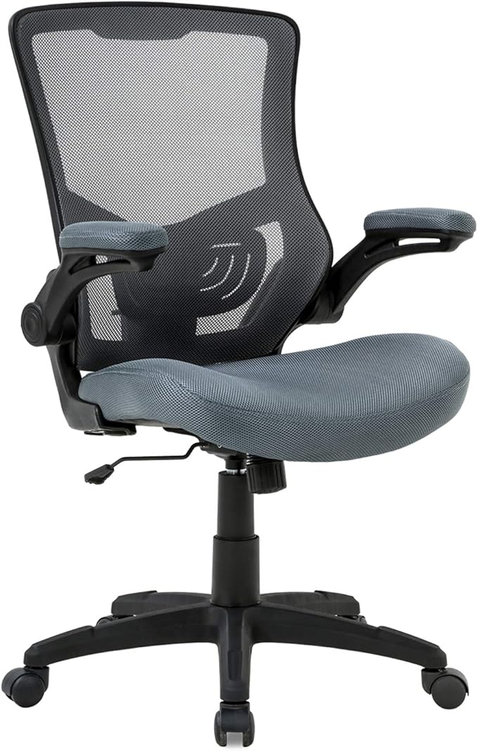 Office Chair Desk Chair Computer Chair with Lumbar Support Flip Up Arms Modern Task Adjustable Swivel Rolling Executive Mesh Ergonomic Chair for Back Pain, Grey