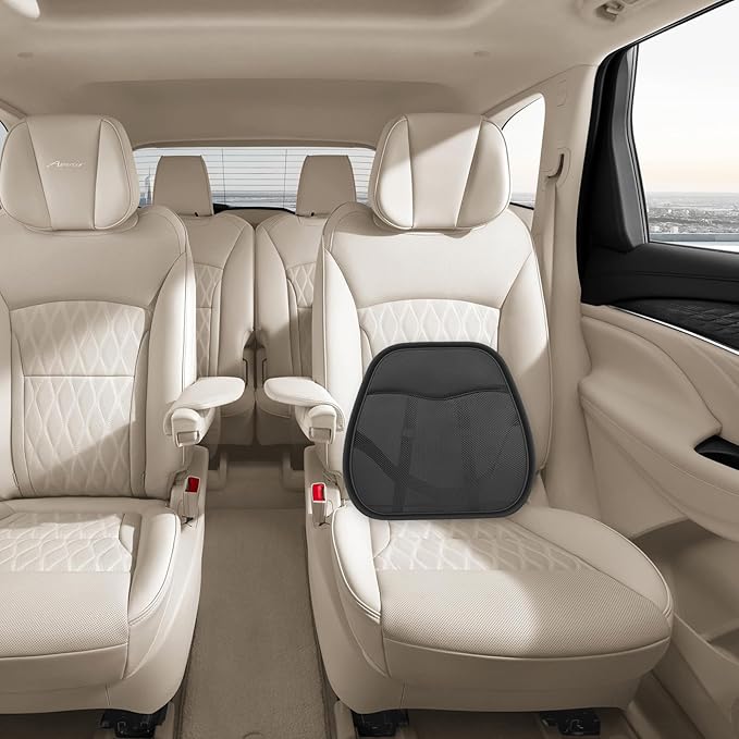 Erice Back Support Pillow, Breathable Ice Silk Lumbar Support Pillow, Back Pillow for Chair, Car Back Cushion for Driving, Lumbar Support for Car, Back Support for Chair (B), 46SD4F89SD