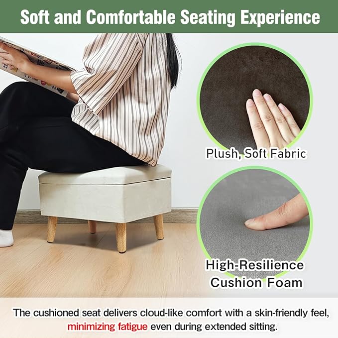 lumizone Small Ottoman Foot Rest Modern Storage Ottoman Foot Stool Padded Seat Pet Step for Dog Under Desk Stool for Living Room Bedroom Office Entryway (Print- Beige)