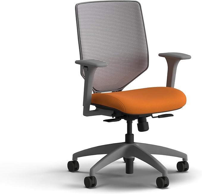 HON Solve Office Chair, Ergonomic Office Chair Mesh Back Support, Adjustable Lumbar Support, Height Adjustable Arms, Titanium Frame, Apricot
