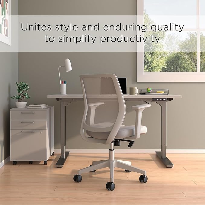 Staples Ergonomic Task Chair, Mesh, Gray