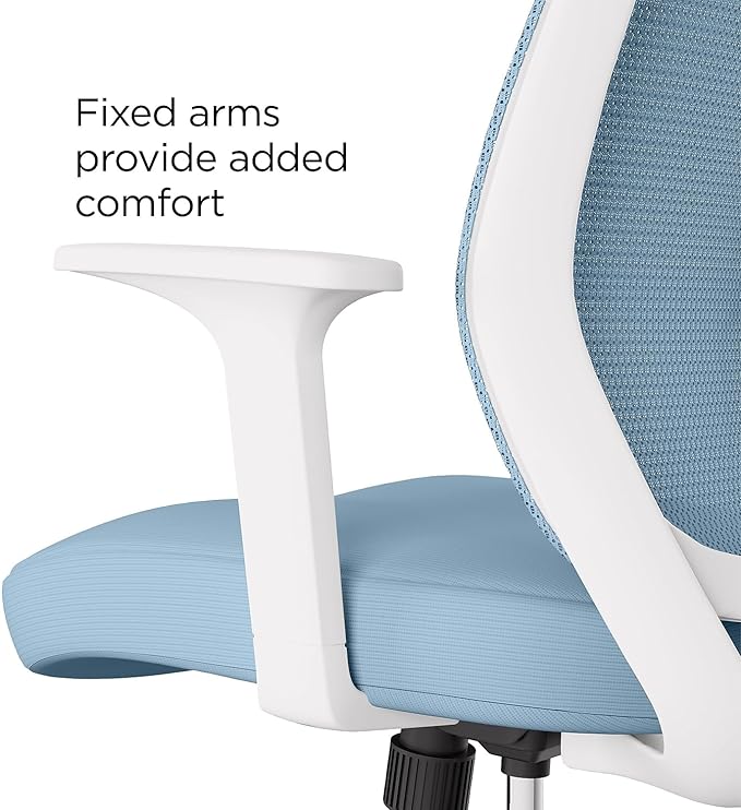 Staples Ergonomic Task Chair, Fabric, Ergonomic, Swivel