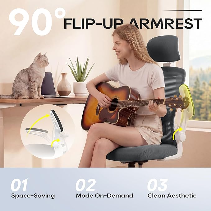 Office Chair, Ergonomic Mesh Desk Chair with Adjustable Lumbar Support and Headrest, Flip-up Armrests, High Back Computer Task Chair for Home and Executive Office (W-Dark Grey)