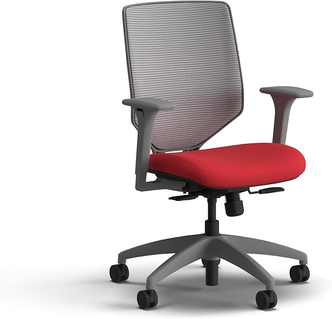 HON Solve Office Chair, Ergonomic Office Chair Mesh Back Support, Adjustable Lumbar Support, Height Adjustable Arms, Titanium Frame, Ruby