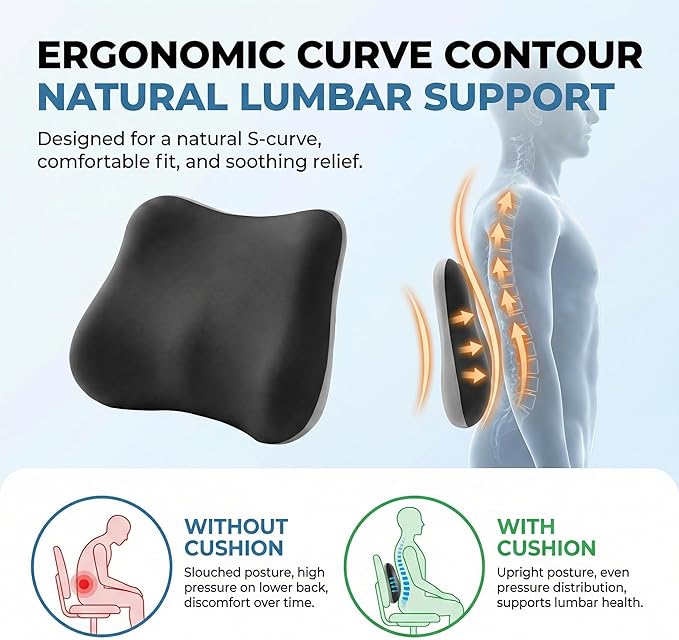 Lumbar Support Pillow for Office Chair & Car Seat, Ergonomic Memory Foam Back Cushion, Washable Pillow Cover, Lower Back Comfort & Posture Support for Home Desk Chair (Dark Grey)