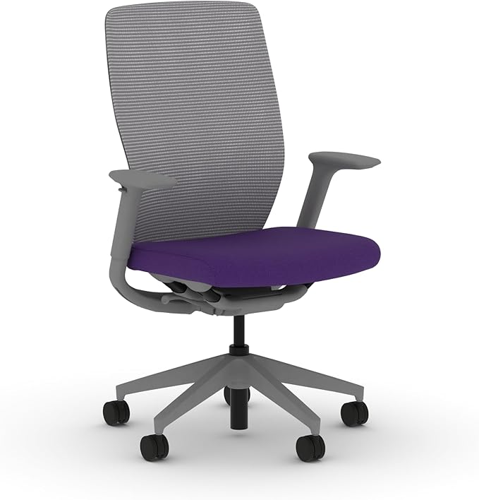 HON Flexion Mesh Office Chair, Height Adjustable Arms, Conference Room Chairs with Lumbar Support, Titanium Mesh, Titanium Frame, Iris
