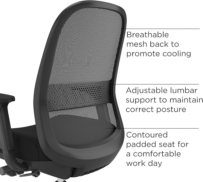 Workplace 2.0 Ergonomic Task Chair, Mesh, Ergonomic, Lumbar Support, Adjustable Height, Black