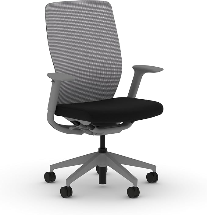HON Flexion Mesh Office Chair, Height Adjustable Arms, Conference Room Chairs with Lumbar Support, Titanium Mesh, Titanium Frame, Black