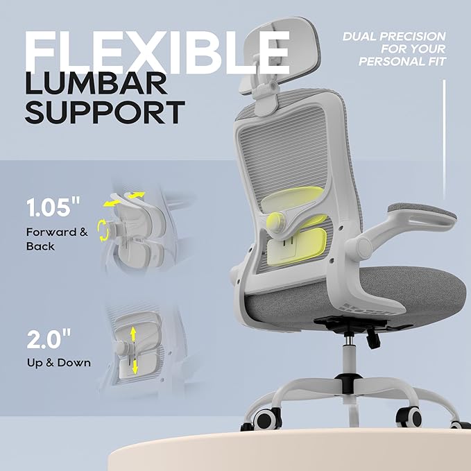 Office Chair, Ergonomic Mesh Desk Chair with Adjustable Lumbar Support and Headrest, Flip-up Armrests, High Back Computer Task Chair for Home and Executive Office (G-All Grey)