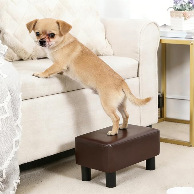 Joveco Small Footstool Ottoman Footrest Modern Rectangular Padded Seat for Living Room Bedroom (Brown PU Leather)