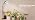 LBW Grow Light for Indoor Plants, Full Spectrum Desk LED Plant Light