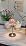 Shenmoyl Tulip Table Lamp with 5200mAh Battery & Touch Control, Cordless Small Table Lamp with 3 Colors, Dimmable Rechargeable Table Lamps for Living Room, Bedroom, Desk, Bedside (Clear Pink Tulip)