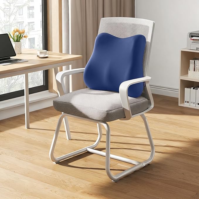 Lumbar Support Pillow for Office Chair Memory Foam Lumbar Cushion with Removable Cover Soft Back Support Pillow Suitable for Car, Couch, Gaming, Dark Blue
