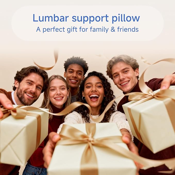 Lumbar Support Pillow for Office Chair, Extra Dense Memory Form Pillow Lumbar Pillow for Car, Back Support Pillow for Recliner Chair, Chair Back Support for Lower Back Pain Relief