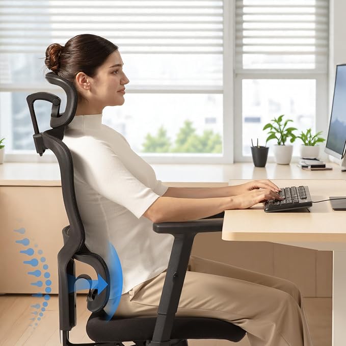 SIHOO Ergonomic Office Chair, Desk Chair with Armrests, Computer Chair with Dual Back Design and Adaptive Dynamic Lumbar Support, Dark Black
