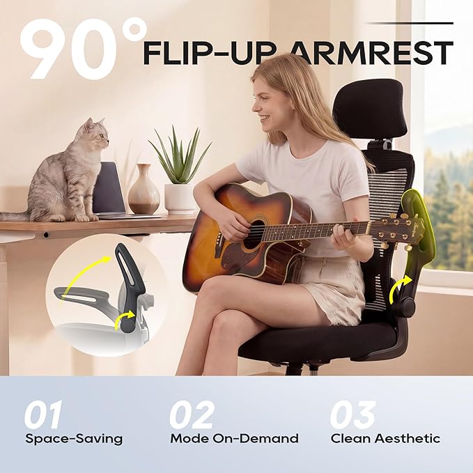 Office Chair, Ergonomic Mesh Desk Chair with Adjustable Lumbar Support and Headrest, Flip-up Armrests, High Back Computer Task Chair for Home and Executive Office (B-All Black)