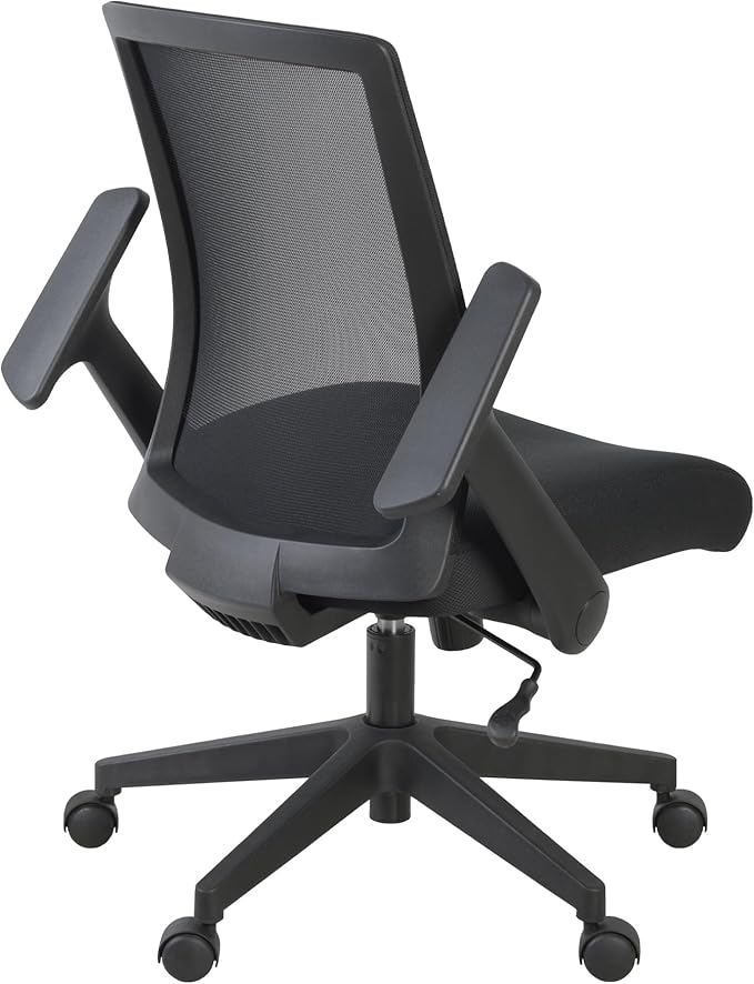 Romig Squire Ergonomic Mesh Office Chair with Adjustable Lumbar Support, Breathable Mesh Back, Flip-Up Arms, Rolling Base, Commercial-Grade Task Seating for Offices Home Workspaces and Conference