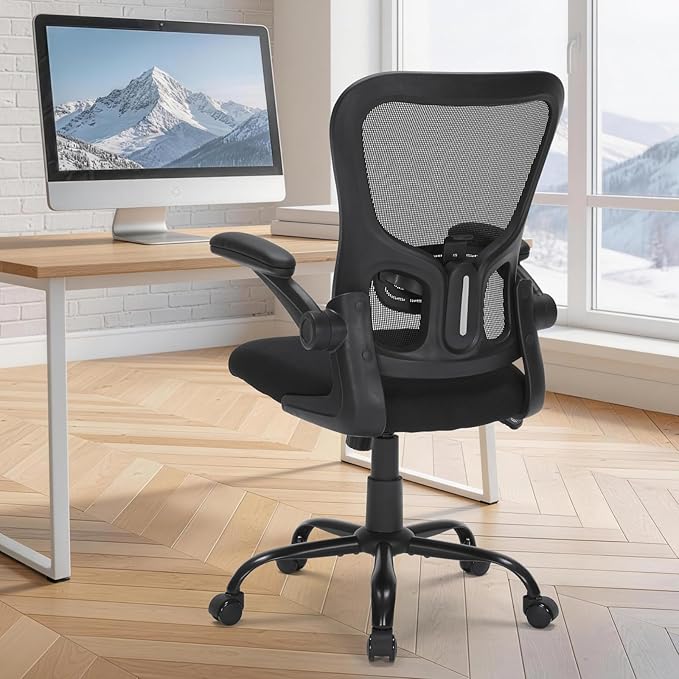 Ergonomic Mesh Office Chair, Adjustable Lumbar Support, Flip-Up Arms, Rolling Swivel Computer Chair with Breathable Backrest for Home & Office, Black