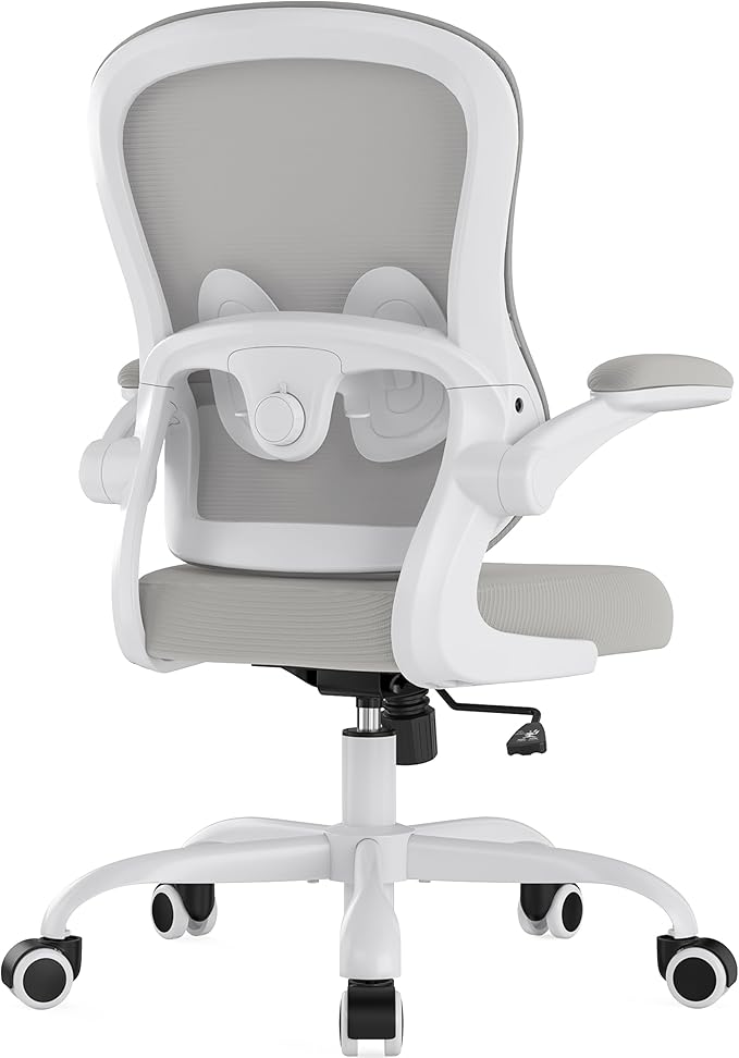 Office Chair Ergonomic Desk Chair - Mesh Comfy Home Desk Office Chairs with Wheels Adjustable Lumbar Support Flip up Armrest Executive Rolling Swivel Teacher Task Computer Chair Light Gray