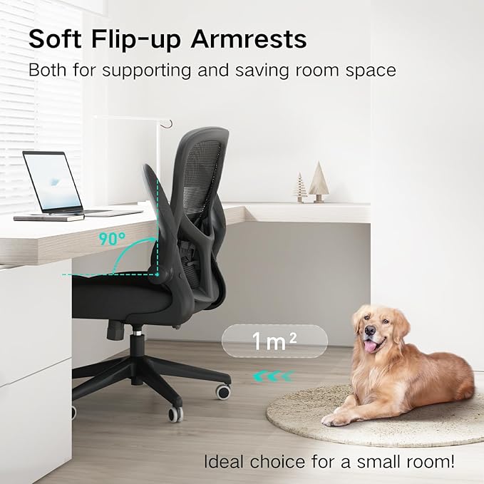 Hbada Office Chair Ergonomic Desk Chair, Office Chairs with PU Silent Wheels, Breathable Mesh Computer Chair with Adjustable Lumbar Support, Flip-up Armrests, Tilt Function, Black