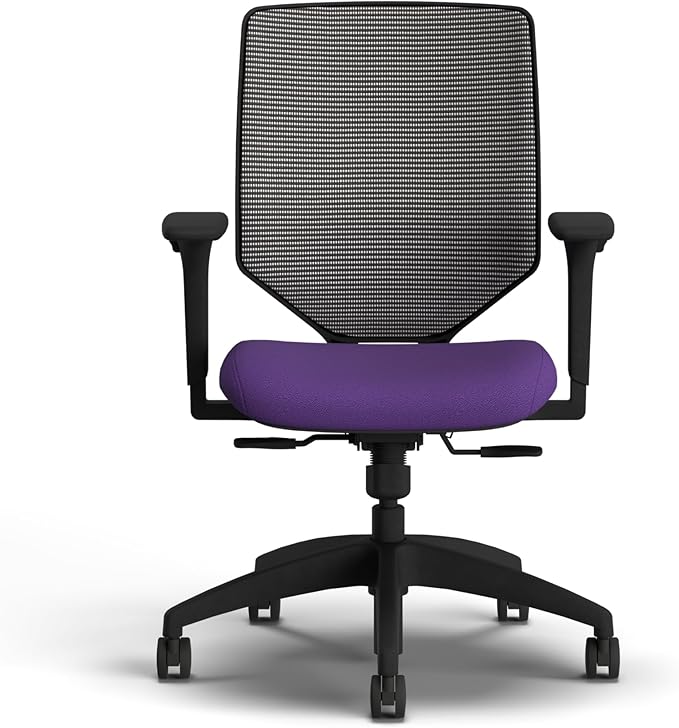 HON Solve Office Chair, Ergonomic Office Chair Mesh Back Support, Adjustable Lumbar Support, Height Adjustable Arms, Black Frame, Iris
