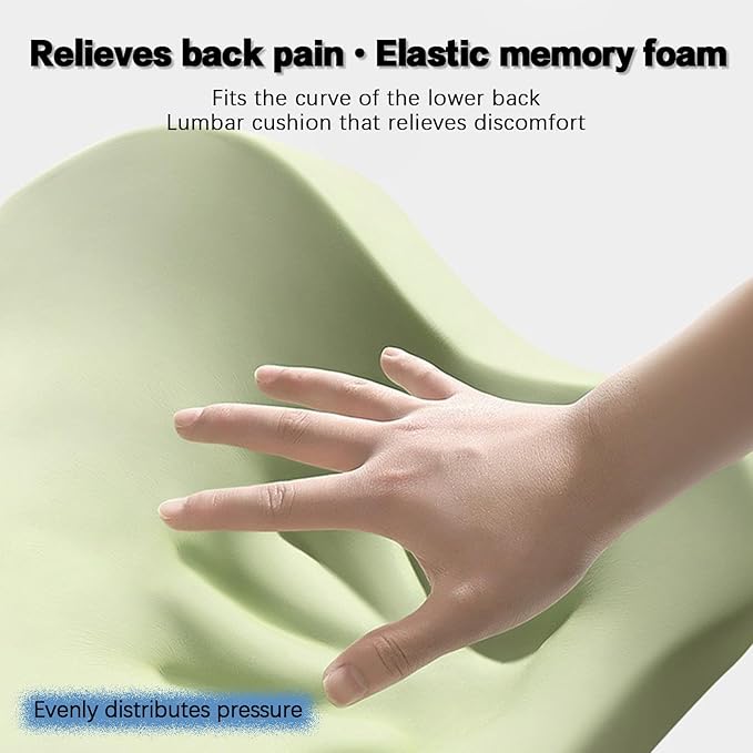 Lumbar Support Pillow & Seat Cushion with Adjustable Strap, Memory Foam Chair Cushion for Sciatica Pain Relief, Washable Cover for Car, Travel and Wheelchair, Black