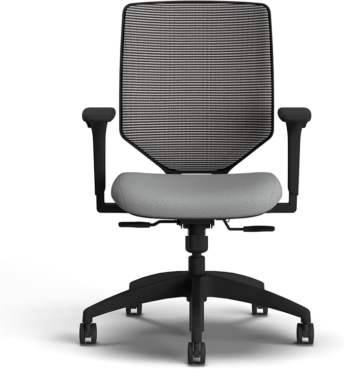 HON Solve Office Chair, Ergonomic Office Chair Mesh Back Support, Adjustable Lumbar Support, Height Adjustable Arms, Black Frame, Frost