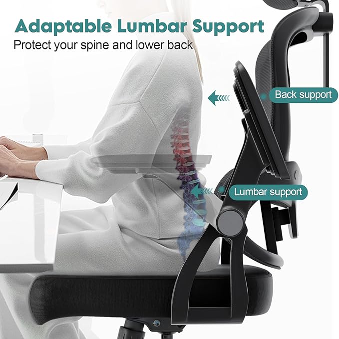Office Chair (01BLACK)