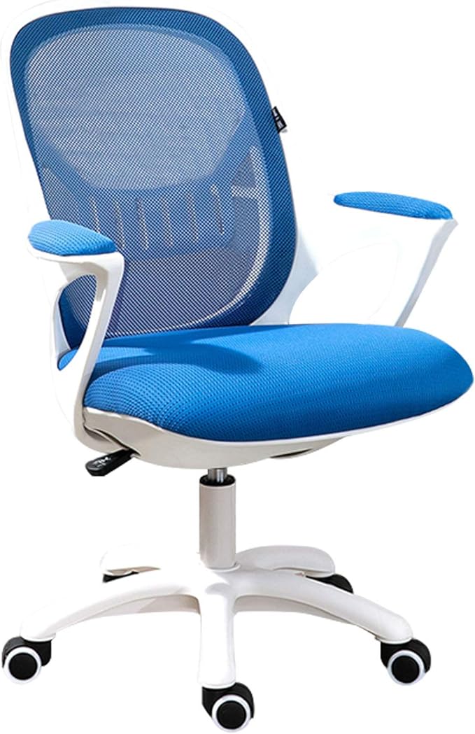 1096 - Home Office & Gaming Chair: Lift, Adjustable Height, Breathable Mesh