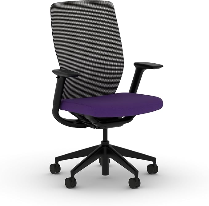 HON Flexion Mesh Office Chair, Height Adjustable Arms, Conference Room Chairs with Lumbar Support, Black Mesh, Black Frame, Iris