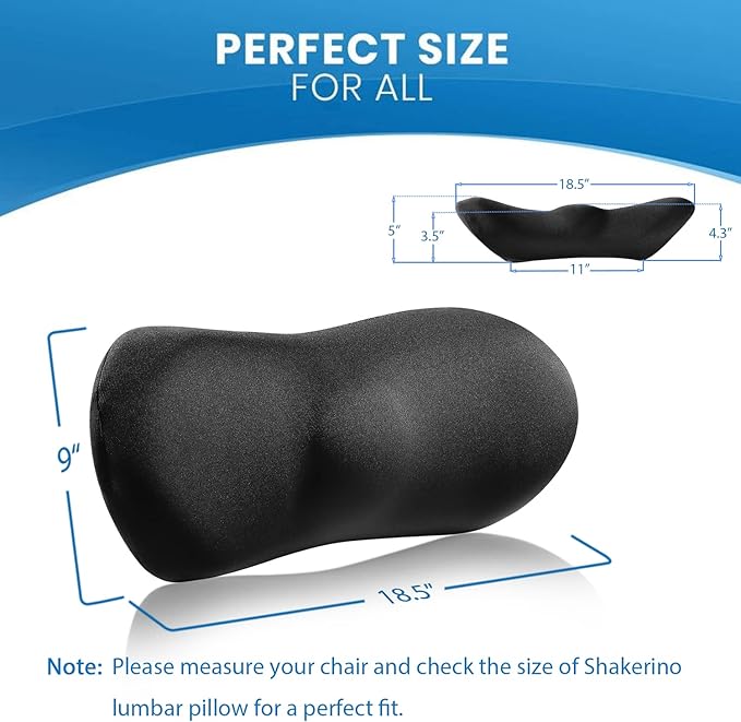 Lumbar Support Pillow for Car with Dual-Grip Stability System - Advanced Adaptive Memory Foam Back Pillow for Lower Back Pain Relief, Ergonomic Driving Seat & Office Chair Cushion, Black