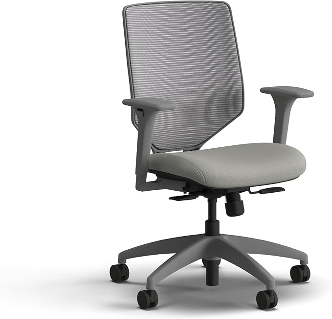 HON Solve Office Chair, Ergonomic Office Chair Mesh Back Support, Adjustable Lumbar Support, Height Adjustable Arms, Titanium Frame, Fog