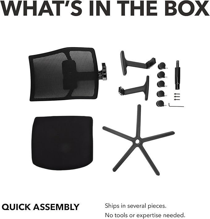 HON Ignition 2.0 Mid Back Task Chair, Spectrum Mesh, Advanced Synchro-Tilt Control, Office Chair with Lumbar Support, Height and Width Adjustable Arms, Titanium Frame, Onyx
