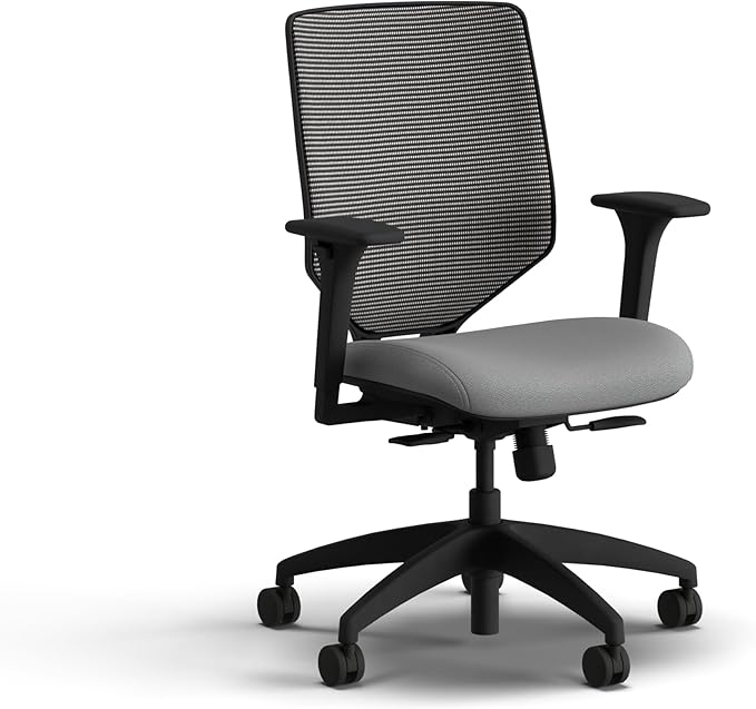 HON Solve Office Chair, Ergonomic Office Chair Mesh Back Support, Adjustable Lumbar Support, Height Adjustable Arms, Black Frame, Frost