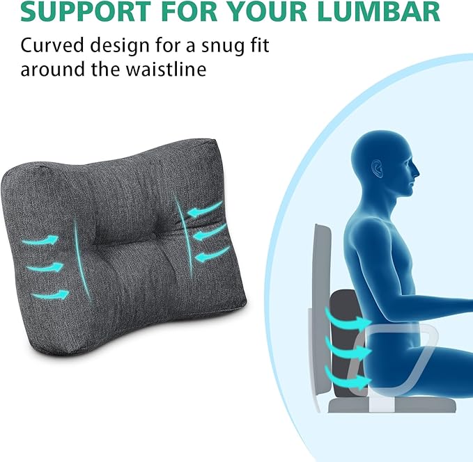 Shinnwa Lumbar Support Pillow for Office Chair, Memory Foam Back Support Pillow for Back Pain Relief, Car, Chair and Couch, 17.5 x 11.5 x 5.5in, Charcoal