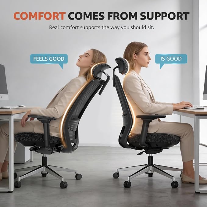 ErgoSift M2 Office Chair Ergonomic Desk Chair High-Back Mesh Desk Chair with Adjustable Lumbar Support and Headrest 4D Armrests for Long Hours Sitting Black