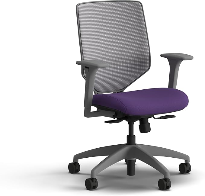 HON Solve Office Chair, Ergonomic Office Chair Mesh Back Support, Adjustable Lumbar Support, Height Adjustable Arms, Titanium Frame, Iris