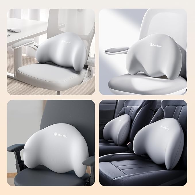 Lumbar Support Pillow for Office Chair, Extra Dense Memory Form Pillow Lumbar Pillow for Car, Back Support Pillow for Recliner Chair, Chair Back Support for Lower Back Pain Relief