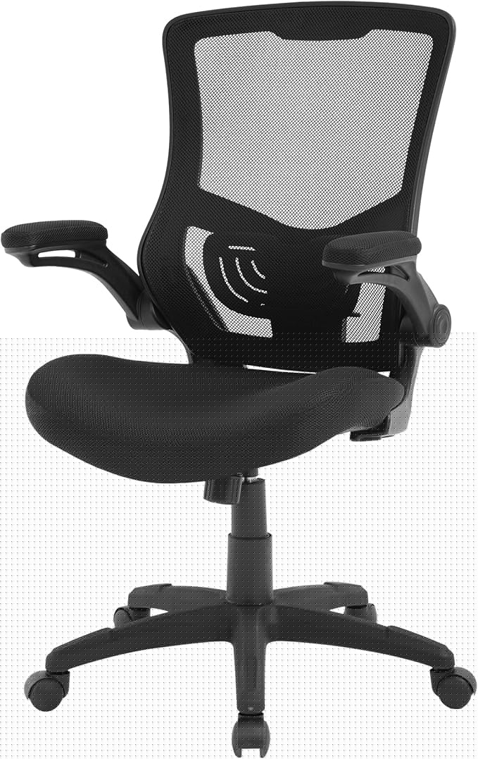PayLessHere Office Chair Ergonomic Mesh Back Computer Chair Breathable Lumbar Supports Flip Up Armrest with Adjustable 360 Degree Desk Chair for Home Office Gaming (Black)