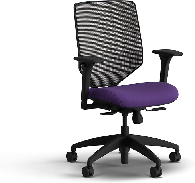 HON Solve Office Chair, Ergonomic Office Chair Mesh Back Support, Adjustable Lumbar Support, Height Adjustable Arms, Black Frame, Iris