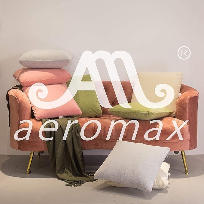 AM AEROMAX 12 × 20 Pillow Insert (Pack of 2) Memory Foam Lumbar Support Throw Pillow Sham Rectangular for Decorative Cushion Bed Couch Sofa Without Deform After Longtime Use(Grey)