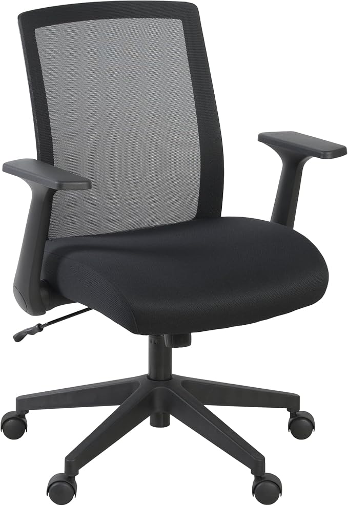 Romig Squire Ergonomic Mesh Office Chair with Adjustable Lumbar Support, Breathable Mesh Back, Flip-Up Arms, Rolling Base, Commercial-Grade Task Seating for Offices Home Workspaces and Conference