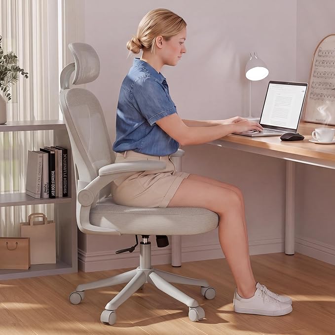SeekFancy Ergonomic Office Chair M903, Computer Desk Chair with Wheels, High Back Mesh Office Chair with Adjustable Lumbar Support, Headrest, Flip-Up Armrests, All Grey