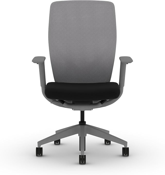 HON Flexion Mesh Office Chair, Height Adjustable Arms, Conference Room Chairs with Lumbar Support, Titanium Mesh, Titanium Frame, Black