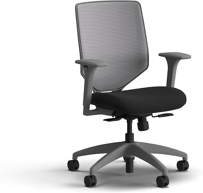 HON Solve Office Chair, Ergonomic Office Chair Mesh Back Support, Adjustable Lumbar Support, Height Adjustable Arms, Titanium Frame, Black