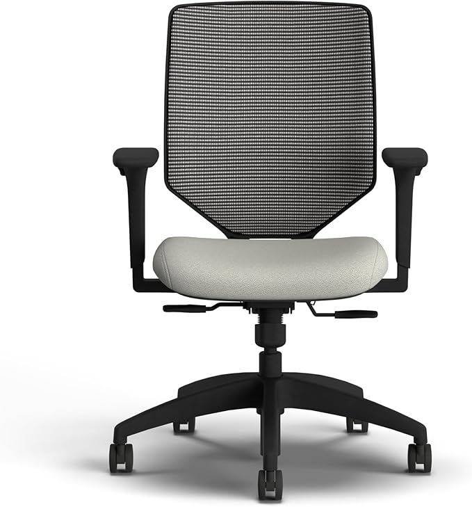 HON Solve Office Chair, Ergonomic Office Chair Mesh Back Support, Adjustable Lumbar Support, Height Adjustable Arms, Black Frame, Fog